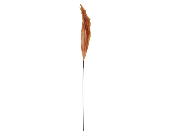 PLUMA DECORATIVA MARRÓN (110cm)